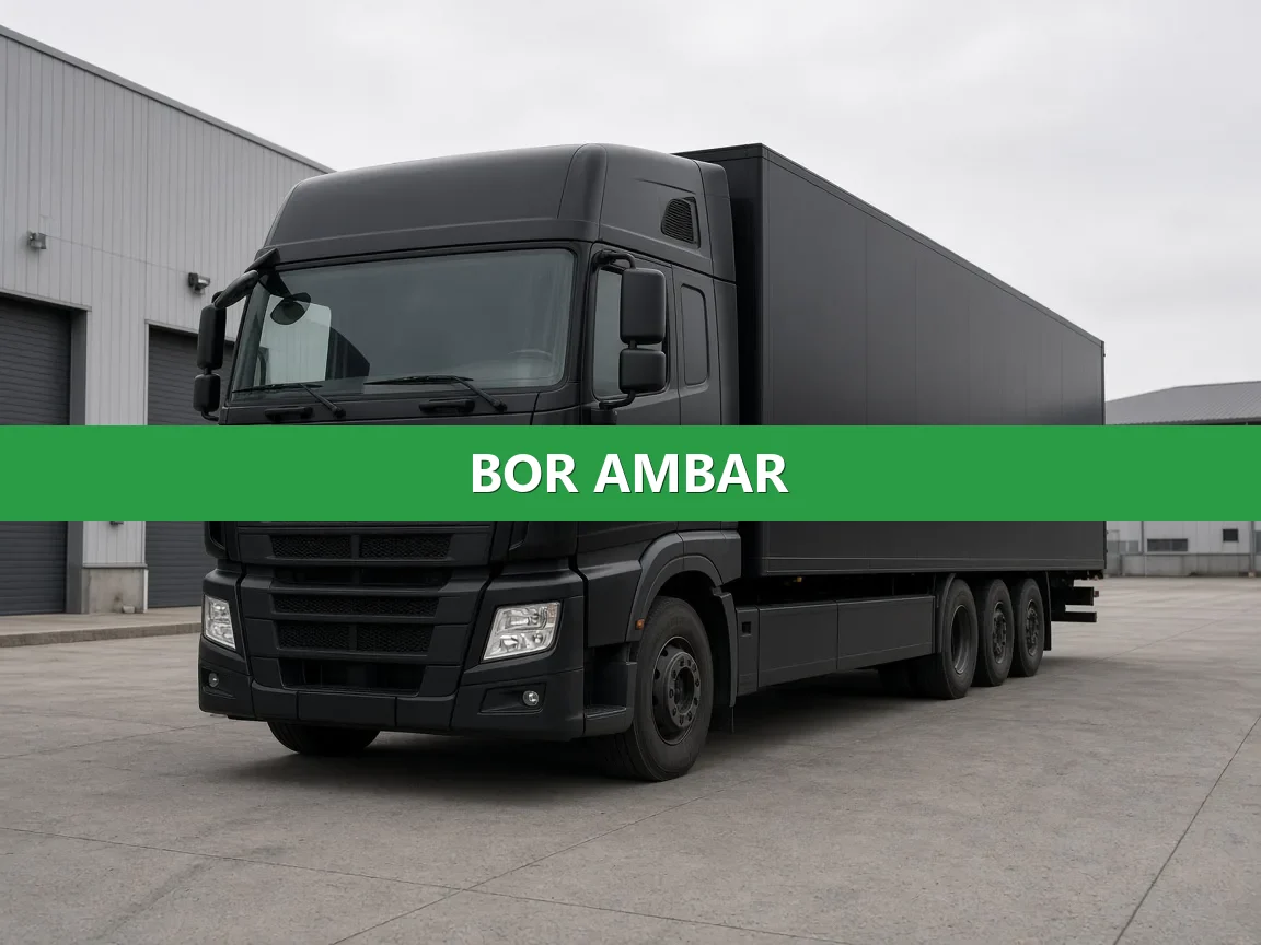 Bor Ambar